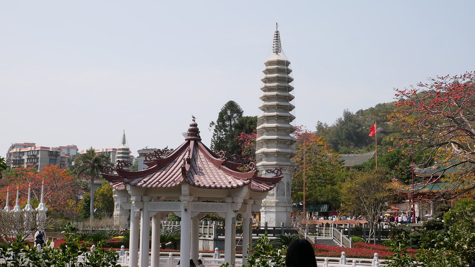P1100013